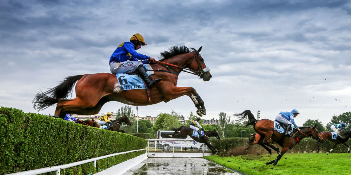 Cheval franchissant une haie en steeple-chase